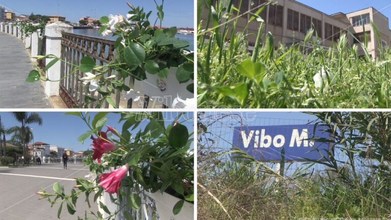 Vibo Valentia, la frazione Marina tra fiori e… sterpaglie  – Video