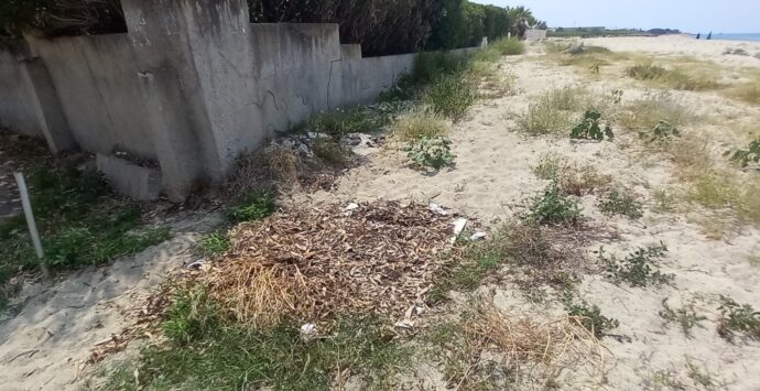 Spiaggia di Bivona, Nesci: «Il degrado indica che non viene pulita dalla scorsa estate»