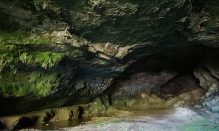 La Grotta di Filandari: uno spettacolo naturalistico e “miracoloso”