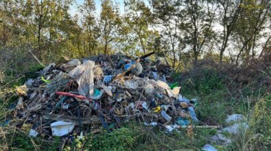 Scempio ambientale a Joppolo: i rifiuti delle spiagge gettati vicino Monte Poro – Foto