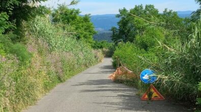 Mileto, degrado della Sp 10: il Pd cittadino attacca la Provincia