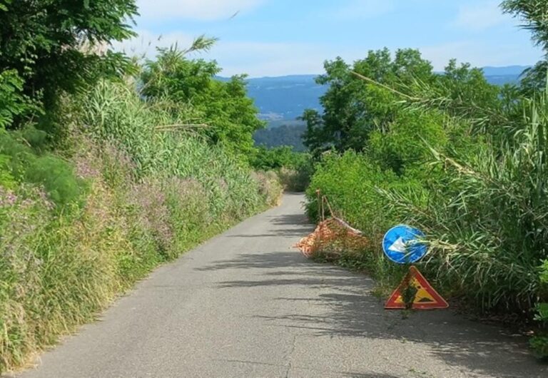 Mileto, degrado della Sp 10: il Pd cittadino attacca la Provincia