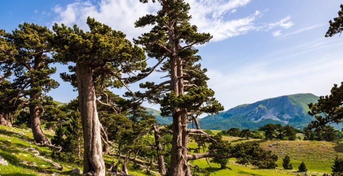 Ispezione dell’Unesco al Parco del Pollino per il riconoscimento di Geoparco