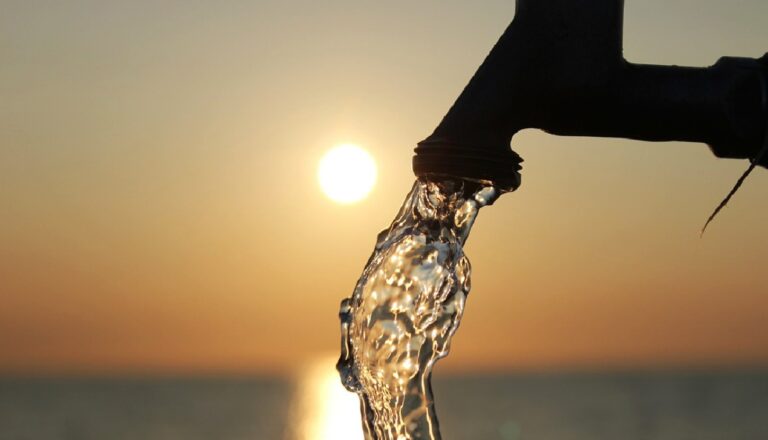 L’importanza dell’acqua e sana alimentazione al centro della quarta giornata di Serreinfestivale