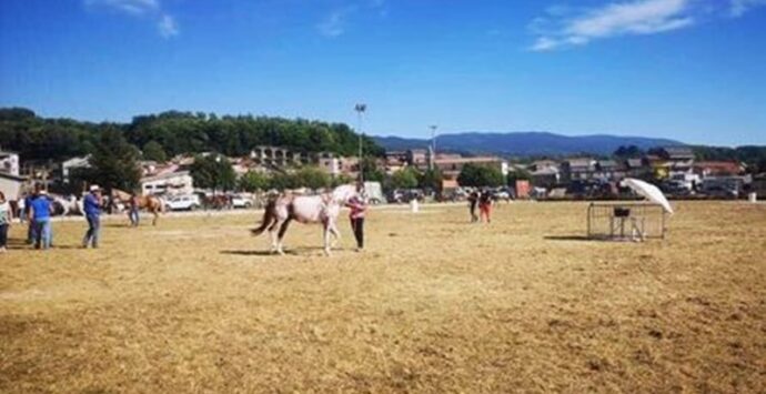 Spadola, successo per il terzo equiraduno organizzato da Islero Ranch