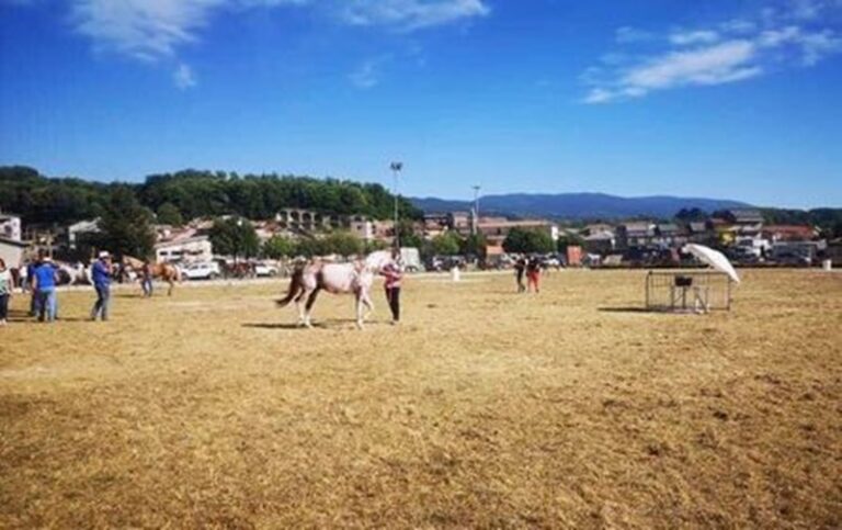 Spadola, successo per il terzo equiraduno organizzato da Islero Ranch