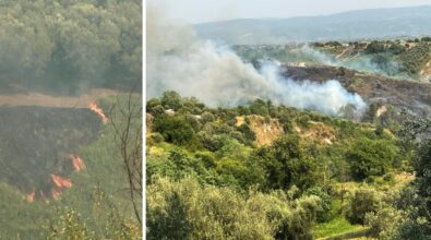 Vasto incendio nell’area di Mileto vecchia, il sindaco: «Allertata la Protezione civile» – Video