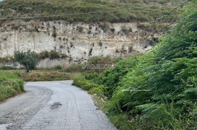 Strada provinciale per Tropea, passando da Caria, in pessime condizioni