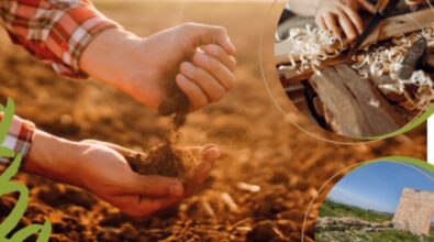 Paravati si prepara ad accogliere gli stand della “Mostra della nostra terra”