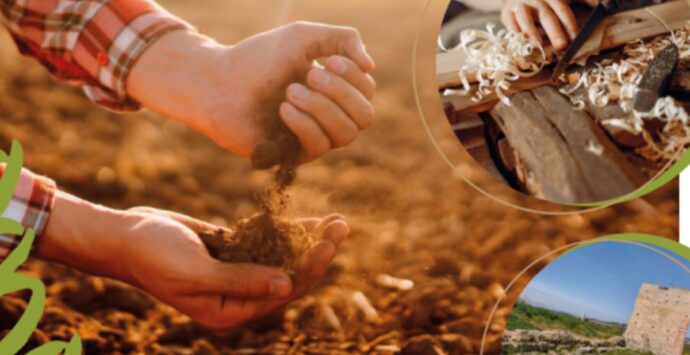 Paravati si prepara ad accogliere gli stand della “Mostra della nostra terra”