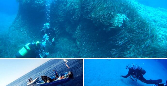 Profondo blu, viaggio alla scoperta delle bellezze custodite sui fondali vibonesi -Video