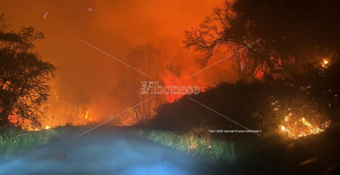 Incendi tra Vibo e Pizzo: situazione critica e strade chiuse, le fiamme minacciano le abitazioni