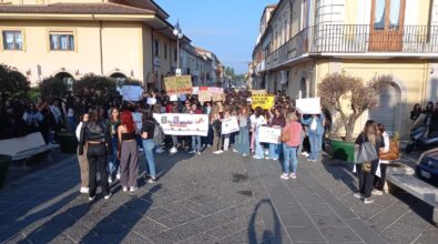 Vibo, gli studenti scendono in piazza contro lo smembramento del Liceo “Capialbi”