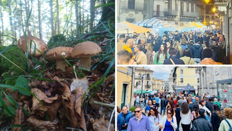 Serra San Bruno, la Festa del fungo riscuote consensi: si replica nel fine settimana