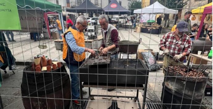 A Serra San Bruno la prima edizione della giornata della castagna e del vino