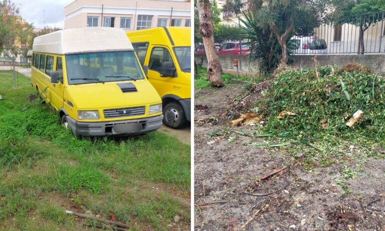 Topi nella scuola primaria di Tropea, le famiglie: «Si intervenga a tutela dei bambini» – Foto