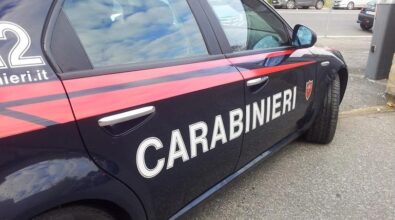 Traffico di droga, 56 arresti in Puglia: blitz anche in Calabria