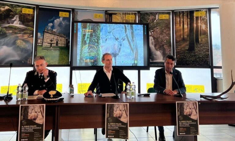 Il cervo italico torna a popolare il Parco naturale regionale delle Serre – Video