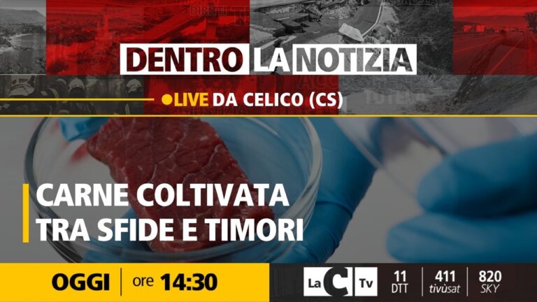 Carne coltivata, il dibattito approda a Dentro la notizia