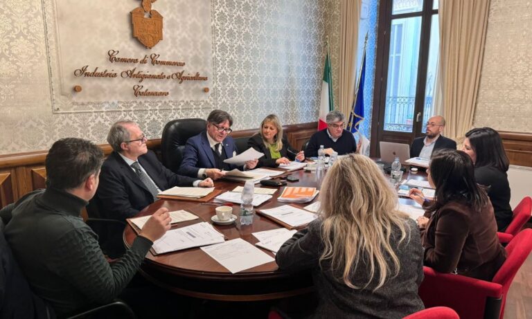 Camera di commercio, disco verde al piano integrato di attività e organizzazione 2024-2026