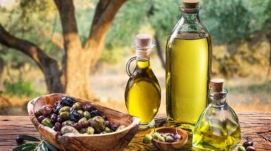 Olio d’oliva, a San Gregorio un corso per responsabile esperto di frantoio