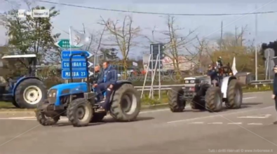 COAPI: Una giornata di eventi e mobilitazioni in Calabria contro la crisi agroalimentare