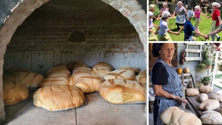 Cibo, storia e identità: a Zungri tornano le giornate del pane con tappa anche alle grotte