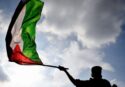 Anche a Vibo la manifestazione pro Palestina sabato 26 ottobre