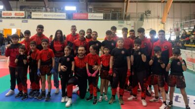 Kickboxing, pioggia di medaglie per la società vibonese Fenix all’evento Federkombact