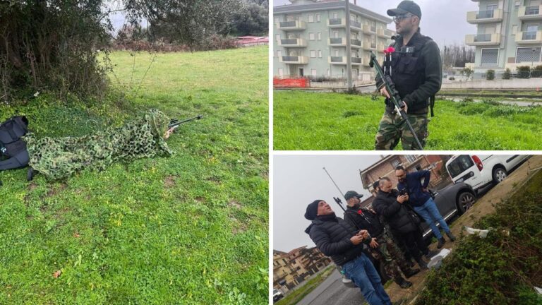 Lotta al randagismo, a Vibo partite le attività di recupero dei branchi