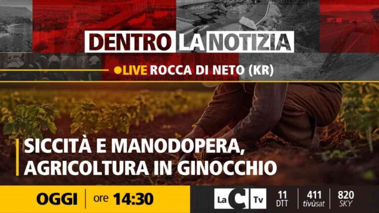 La crisi dell’agricoltura in Calabria al centro della nuova puntata di Dentro la notizia