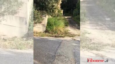 Vibo Marina, ingente spreco d’acqua dal serbatoio sant’Andrea – Video