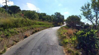 Lavori lungo la strada Caria-Brattirò: «Cruciale per lo sviluppo del territorio»