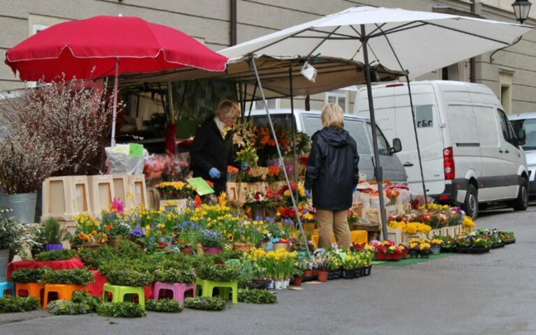 Torna “ViboFiorArt”, tutto pronto per la manifestazione dedicata ai fiori e all’artigianato