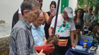 La Festa dell’Oasi Wwf dell’Angitola: una giornata dedicata a chi crede nella difesa della natura – Foto