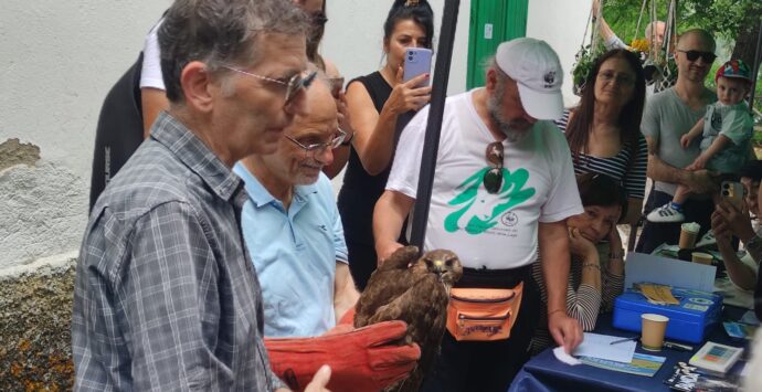 La Festa dell’Oasi Wwf dell’Angitola: una giornata dedicata a chi crede nella difesa della natura – Foto