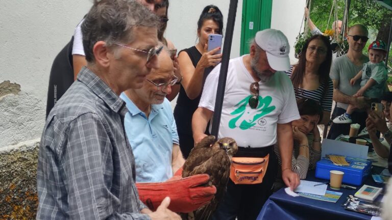 La Festa dell’Oasi Wwf dell’Angitola: una giornata dedicata a chi crede nella difesa della natura – Foto