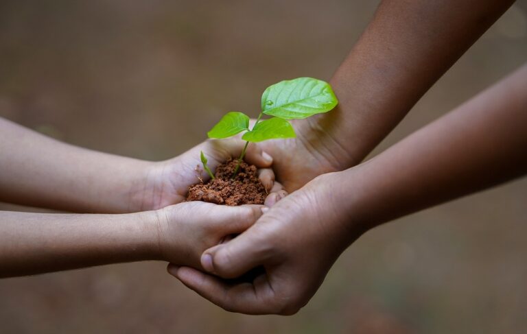 “Puliamo il mondo”, a Brognaturo gli studenti protagonisti della giornata green