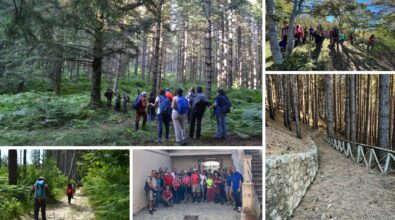 Dai boschi delle Serre ai borghi del Vibonese, la promozione del territorio passa dalle “Terre bruniane”