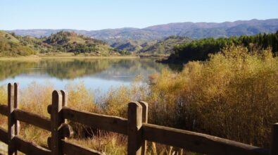 Scrigni di biodiversità, viaggio nell’oasi del lago Angitola. Galasso (Wwf): «Luogo unico da tutelare»