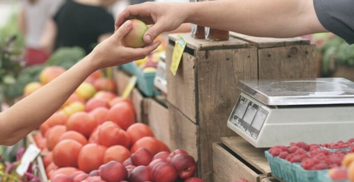 Lavori al mercato coperto di Vibo, la protesta dei commercianti spostati dietro la Don Bosco: «Attivate 4 postazioni invece di 12»