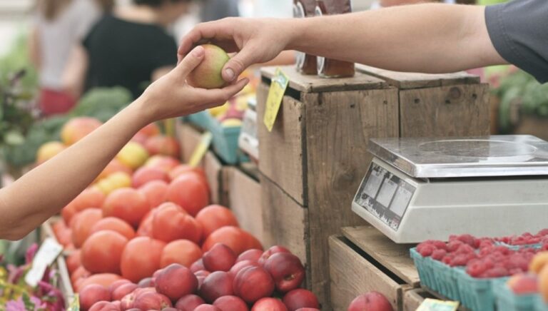 Lavori al mercato coperto di Vibo, la protesta dei commercianti spostati dietro la Don Bosco: «Attivate 4 postazioni invece di 12»