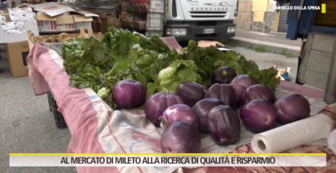 Tra le bancarelle del mercato rionale di Mileto che resiste a crisi e supermercati: «Favoloso e antico» – VIDEO