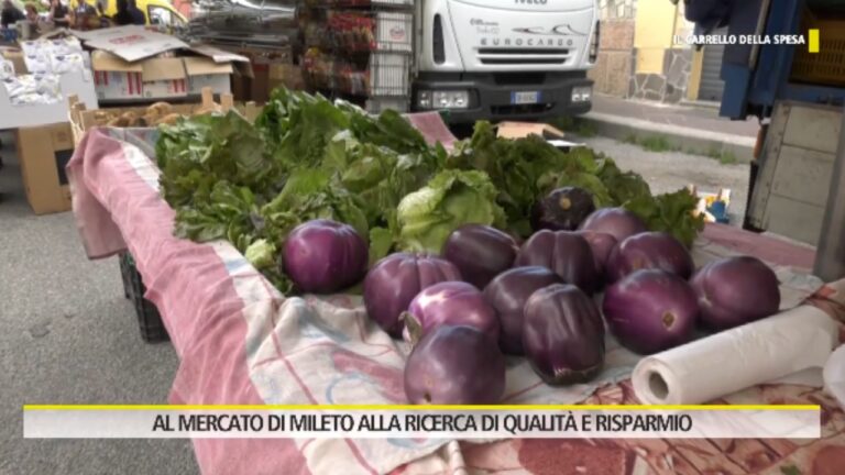 Tra le bancarelle del mercato rionale di Mileto che resiste a crisi e supermercati: «Favoloso e antico» – VIDEO