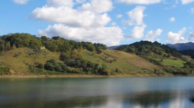 Quarant’anni di impegno a favore dell’ambiente, il Wwf Vibo celebra la festa delle oasi sul lago Angitola