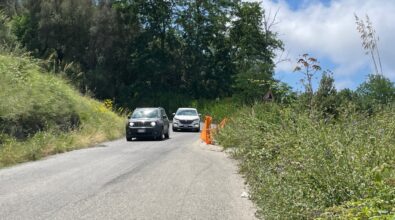 Strada provinciale 17 sempre più insicura tra frane, buche e sterpaglie che accolgono (anche quest’anno) i primi turisti