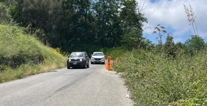 Strada provinciale 17 sempre più insicura tra frane, buche e sterpaglie che accolgono (anche quest’anno) i primi turisti