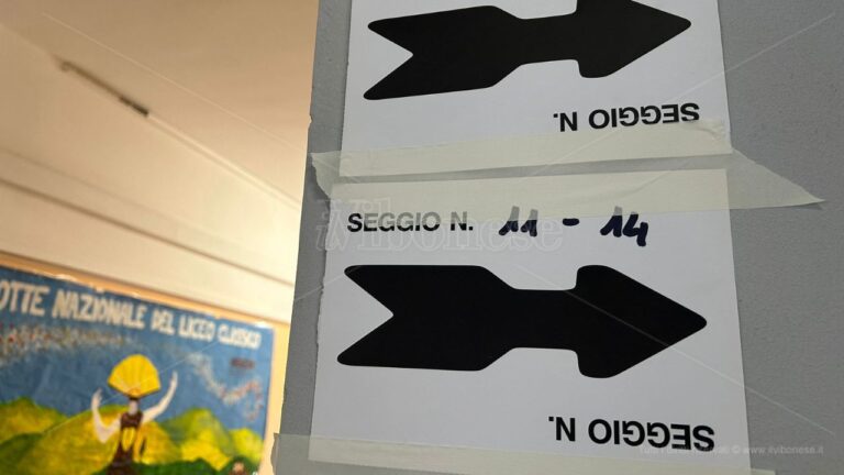 Elezioni, a Vallelonga astensione record: hanno votato solo 3 elettori su 10. A Pizzoni l’affluenza più alta con il 72,05%