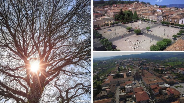 Meteo, nel Vibonese gran caldo in stand by prima di una nuova ondata africana: picchi di 34 gradi tra Mileto e Filadelfia