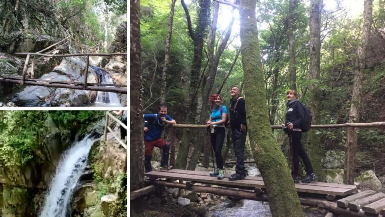 Dalla Certosa all’Aspromonte, la nuova escursione dell’associazione “Vivi Serra San Bruno”